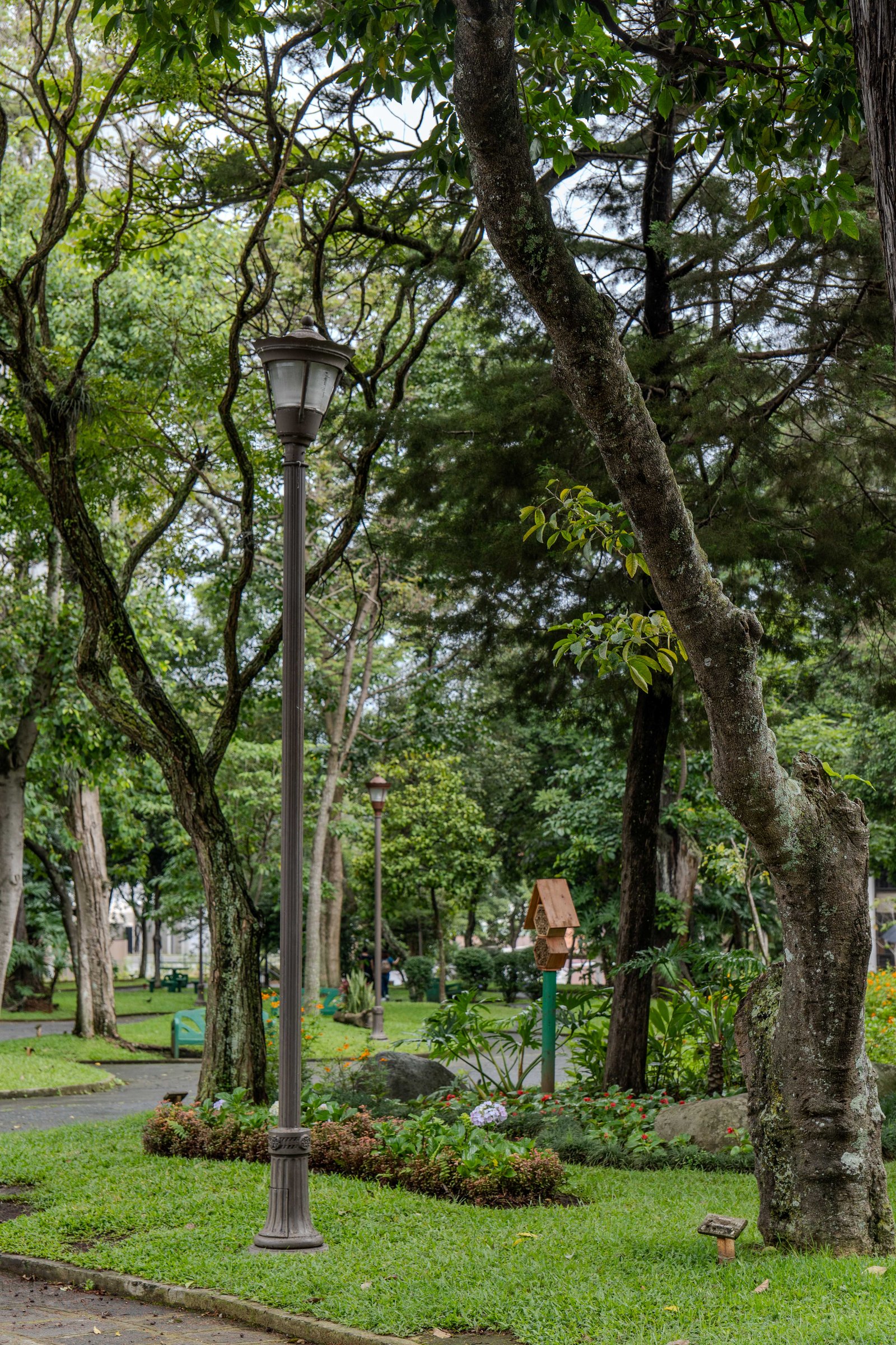 A photo from glenkphoto.com gallery