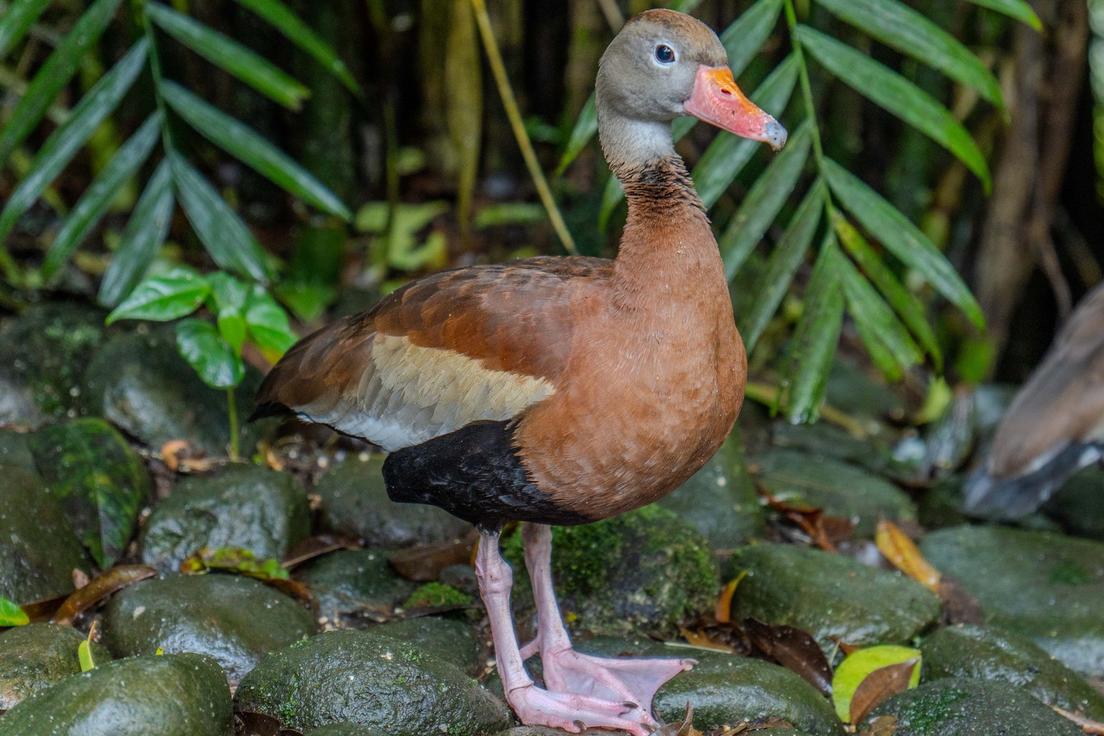 A photo from glenkphoto.com gallery