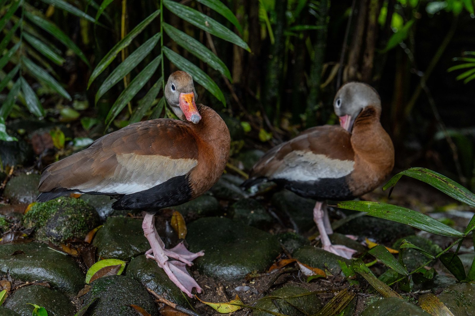 A photo from glenkphoto.com gallery