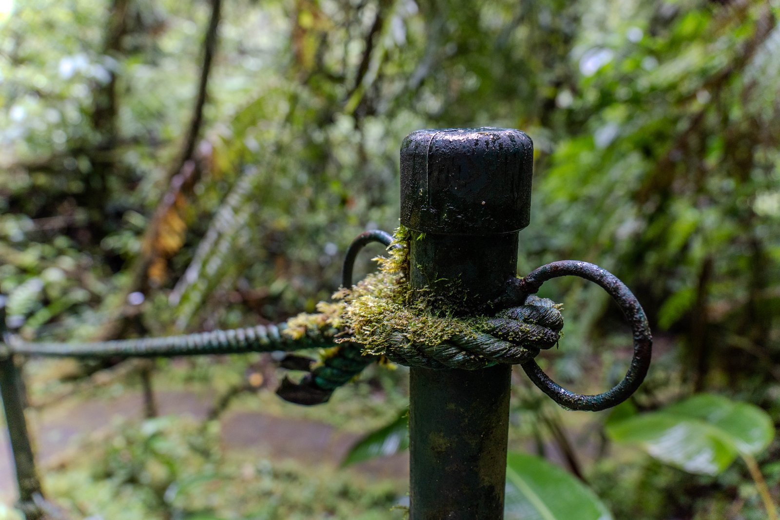 A photo from glenkphoto.com gallery