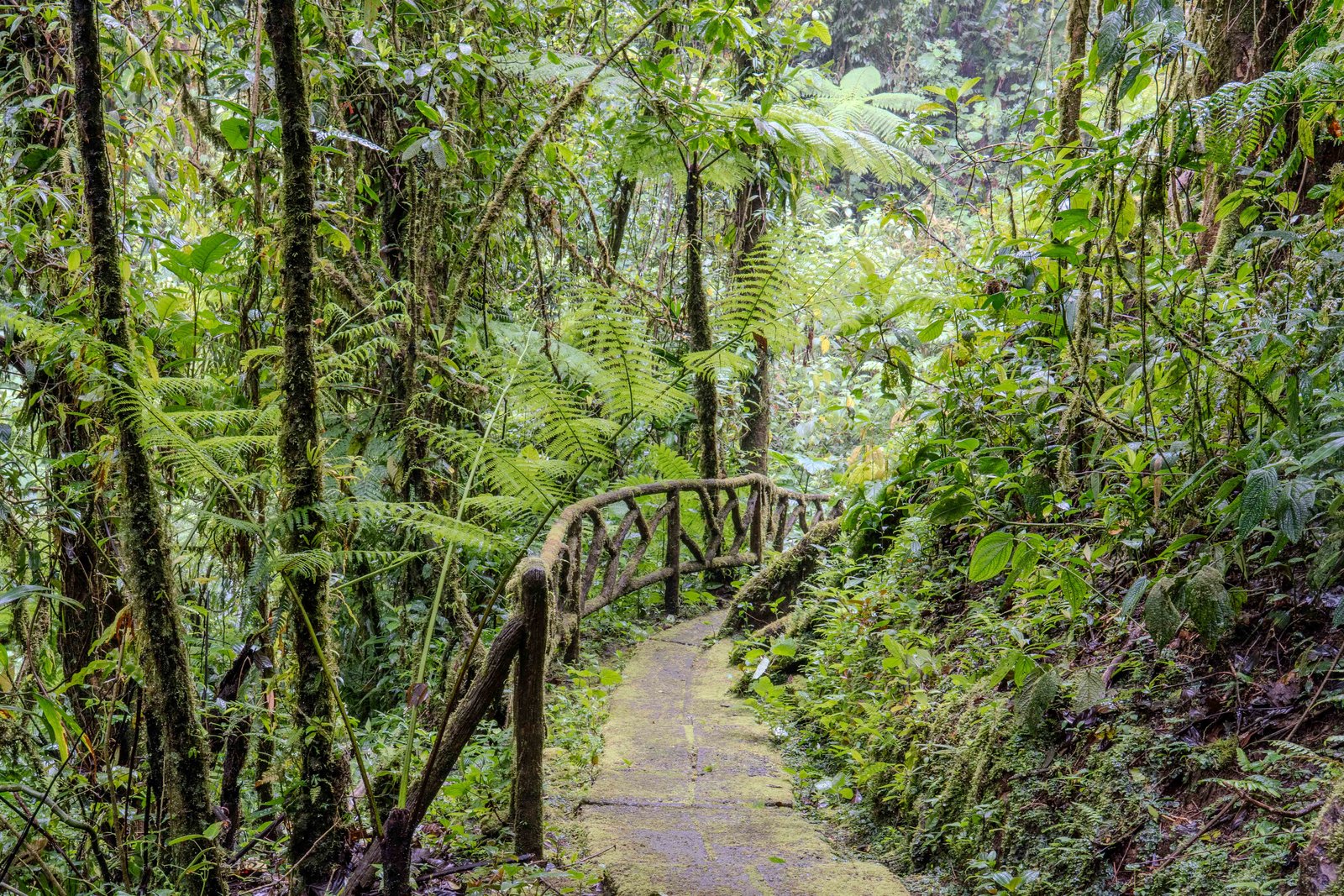 A photo from glenkphoto.com gallery