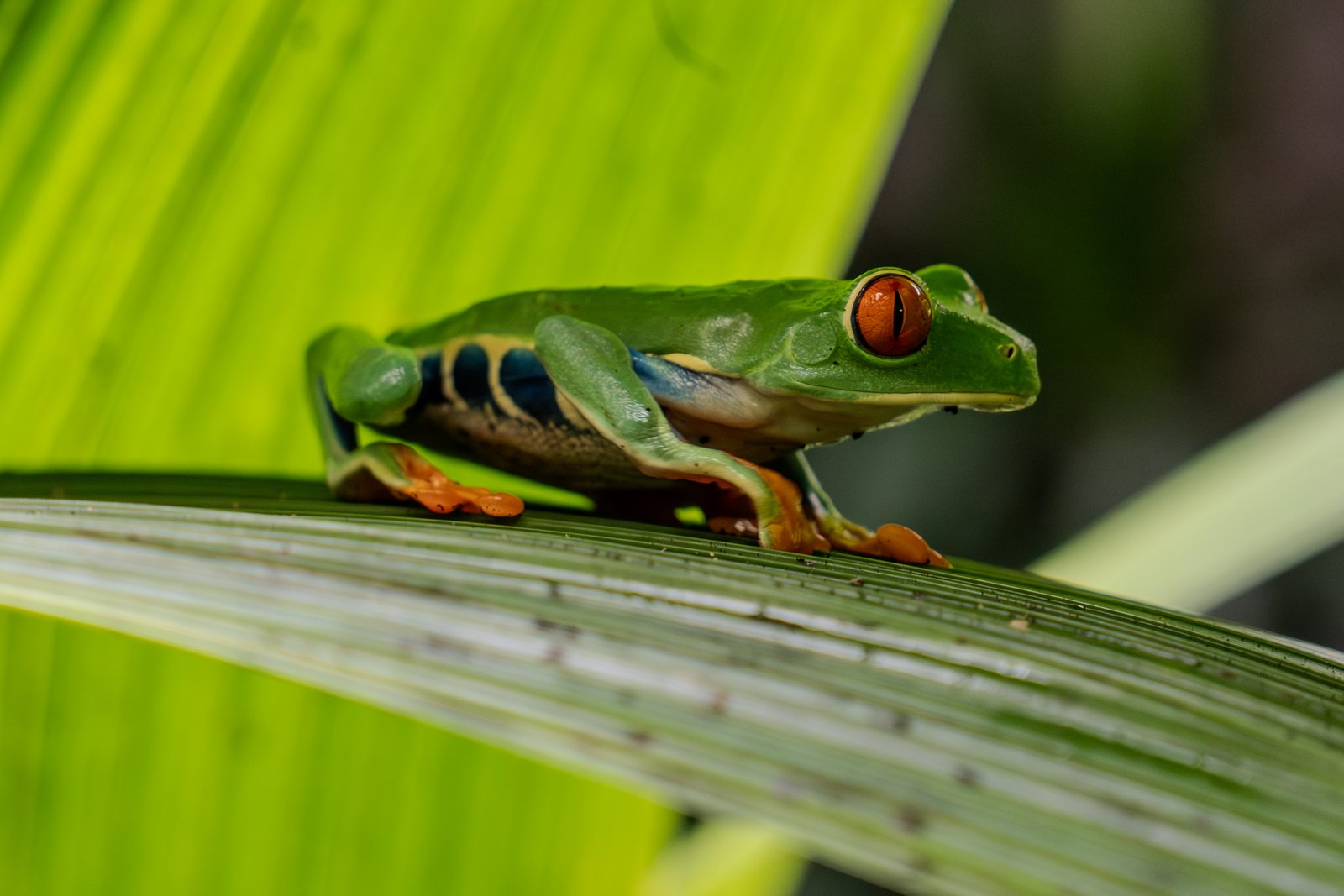 A photo from glenkphoto.com gallery