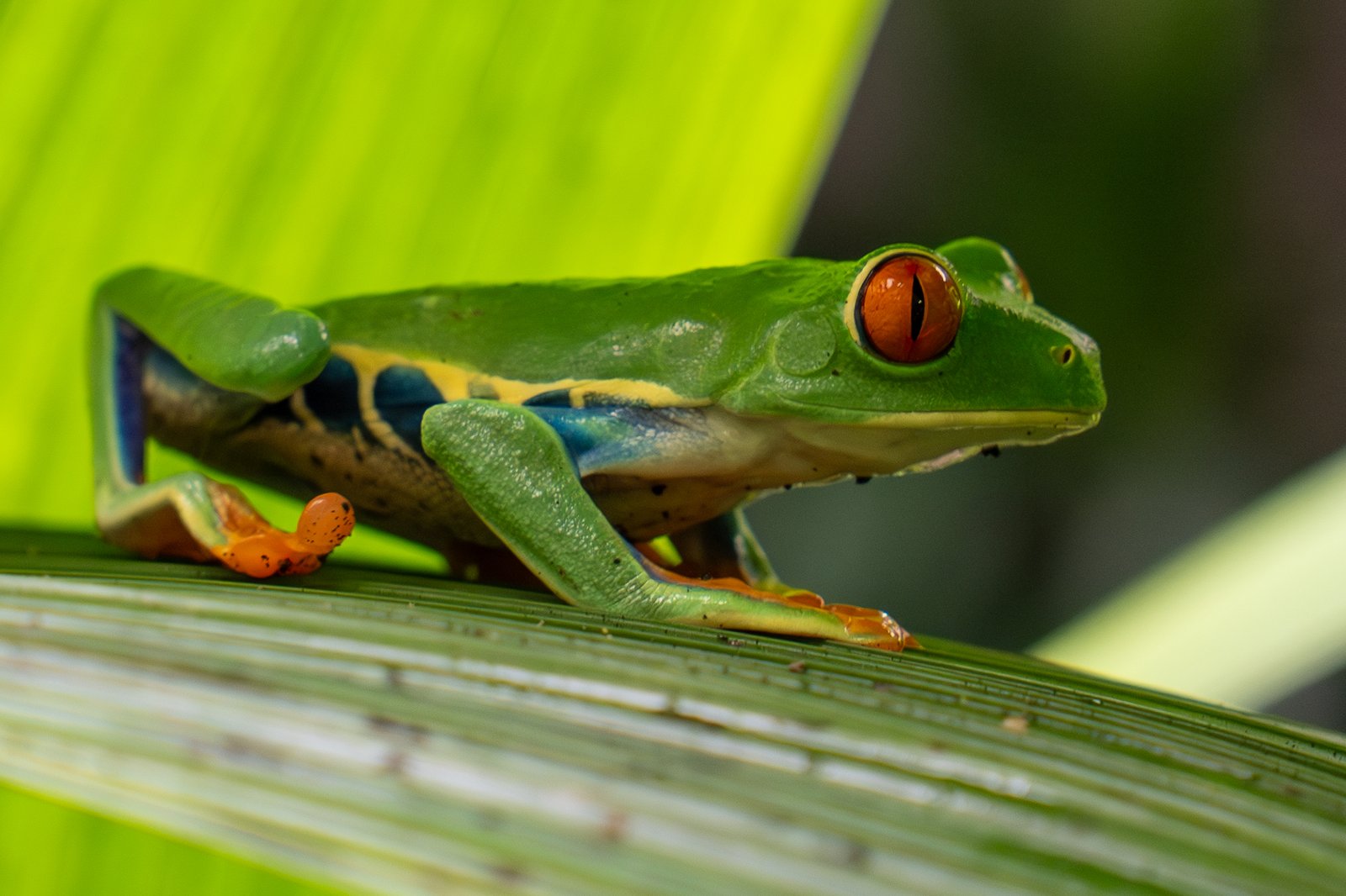 A photo from glenkphoto.com gallery