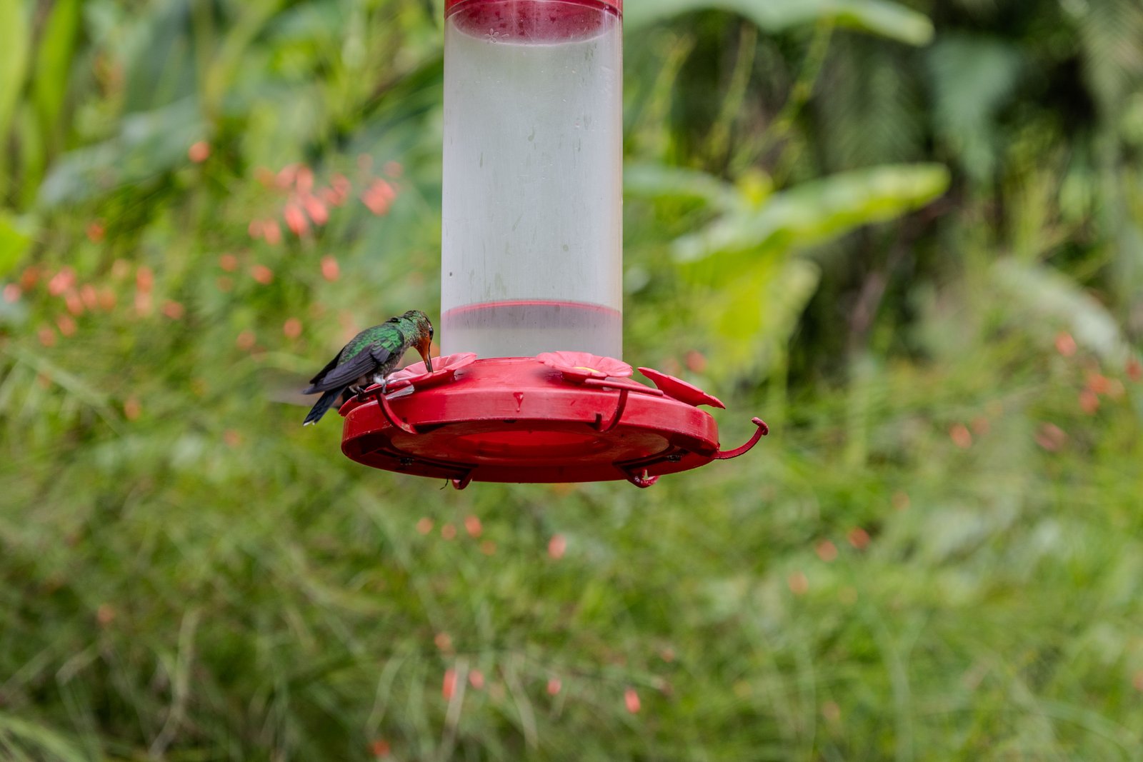 A photo from glenkphoto.com gallery