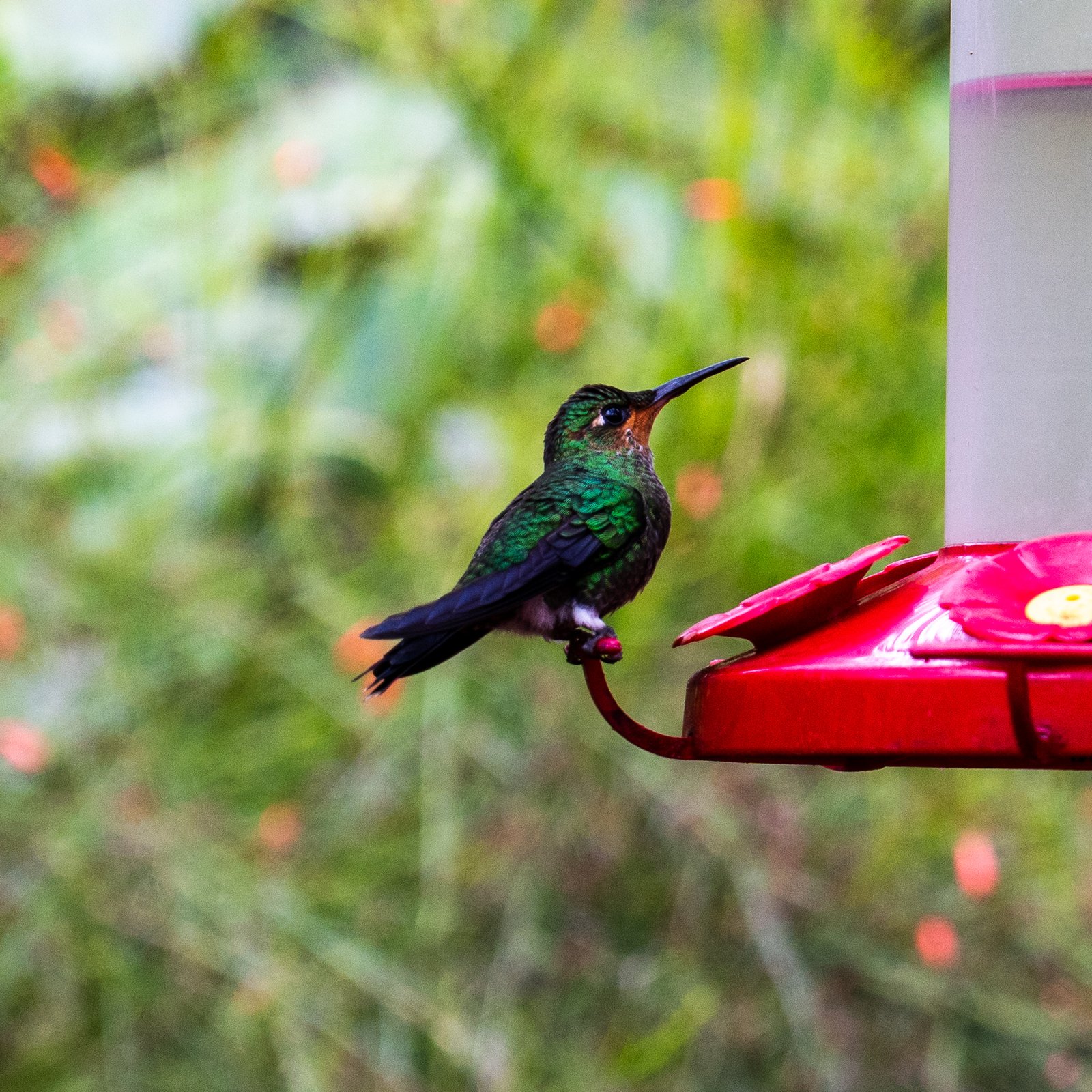 A photo from glenkphoto.com gallery