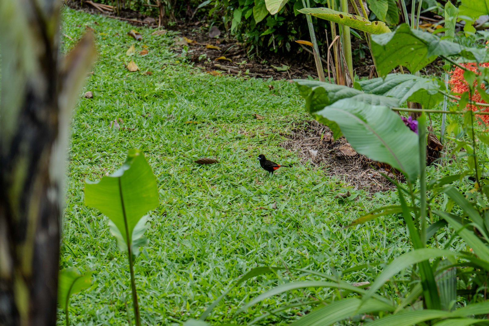 A photo from glenkphoto.com gallery