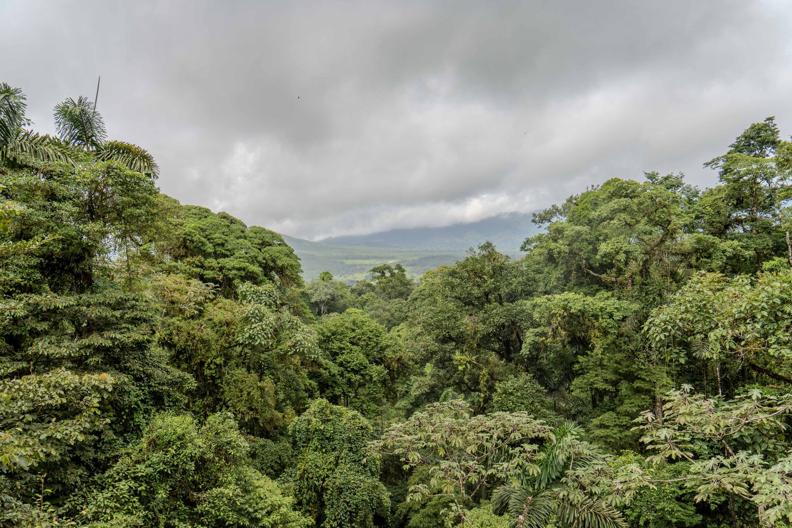 A photo from glenkphoto.com gallery