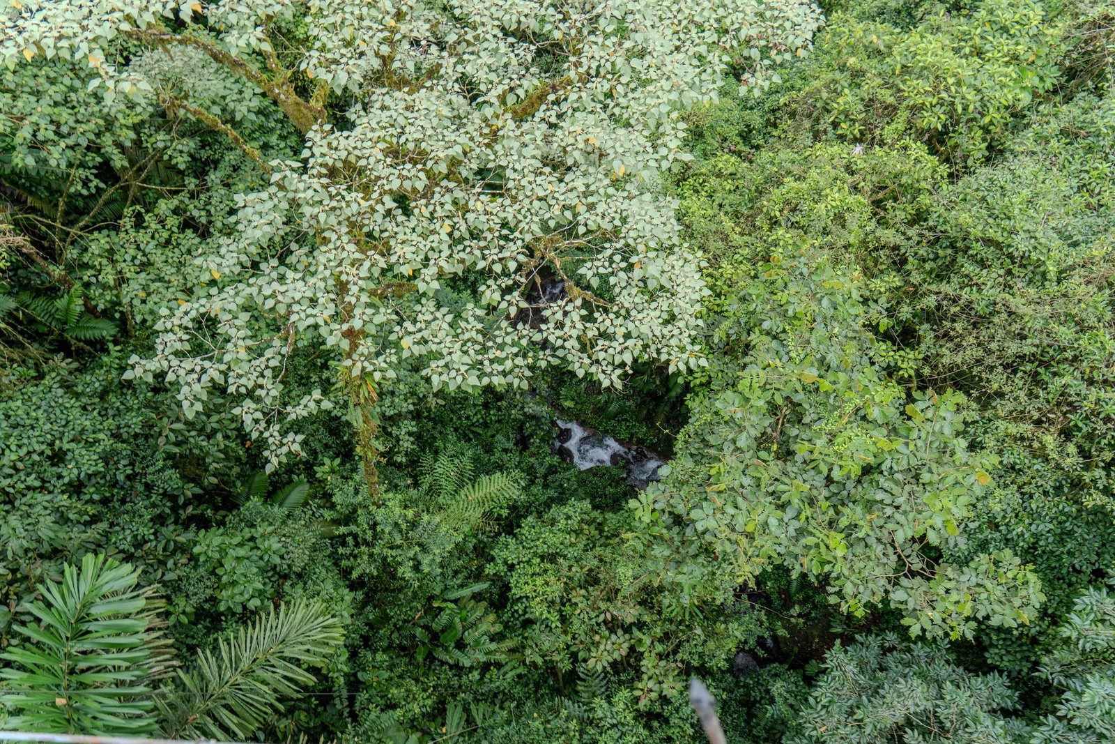 A photo from glenkphoto.com gallery