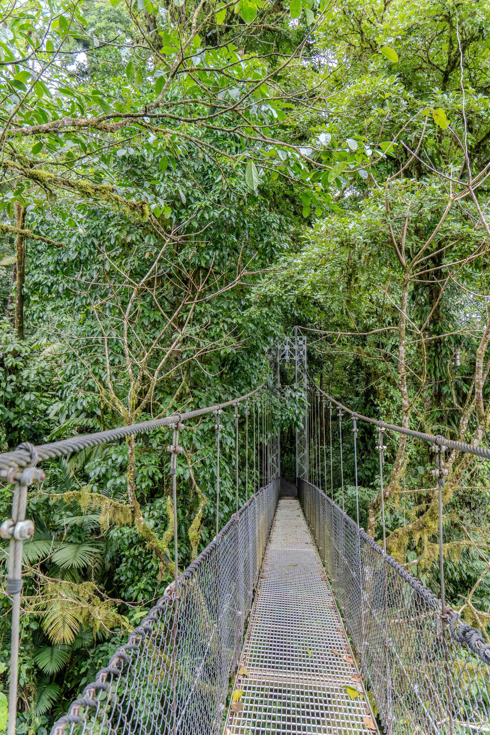 A photo from glenkphoto.com gallery