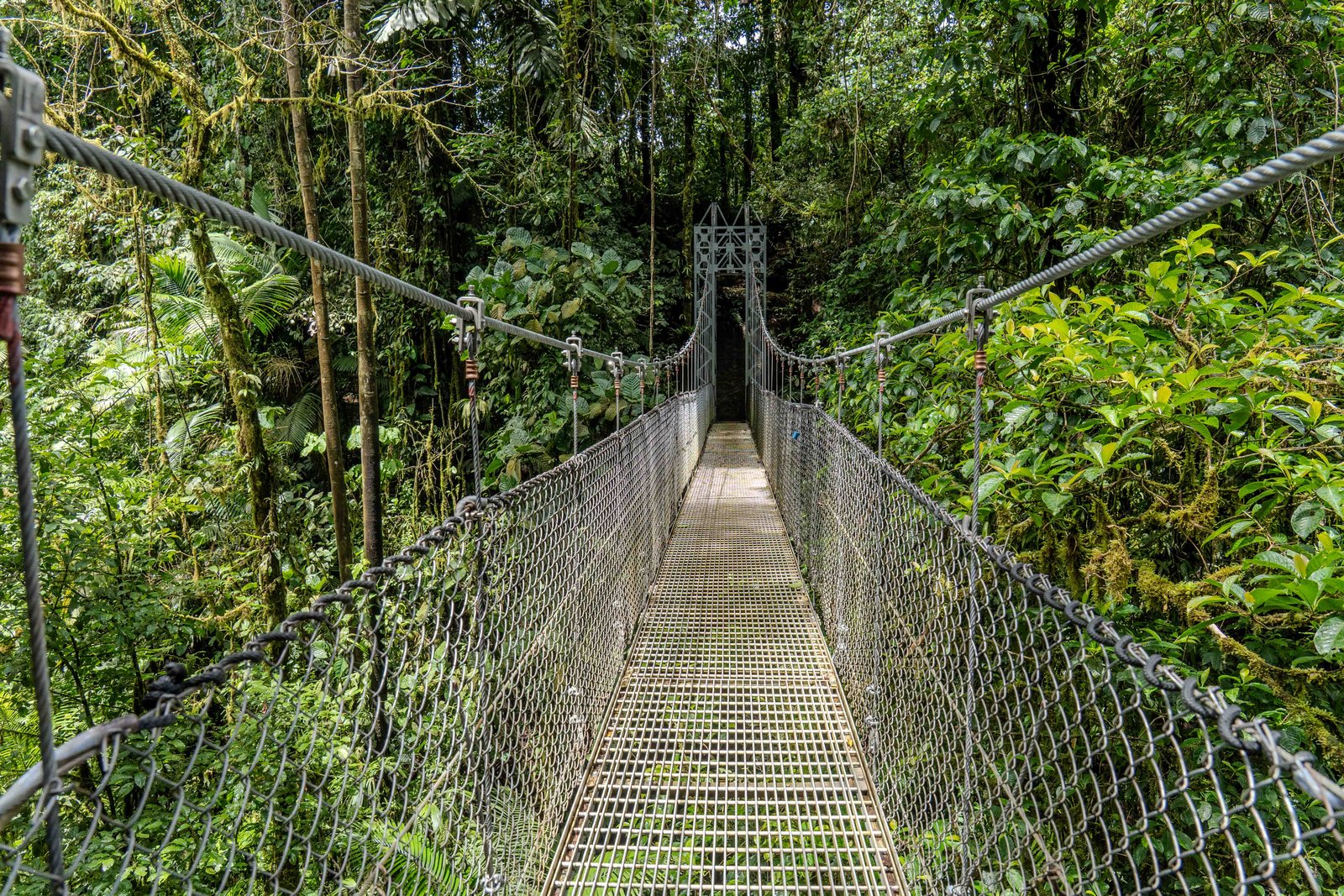 A photo from glenkphoto.com gallery