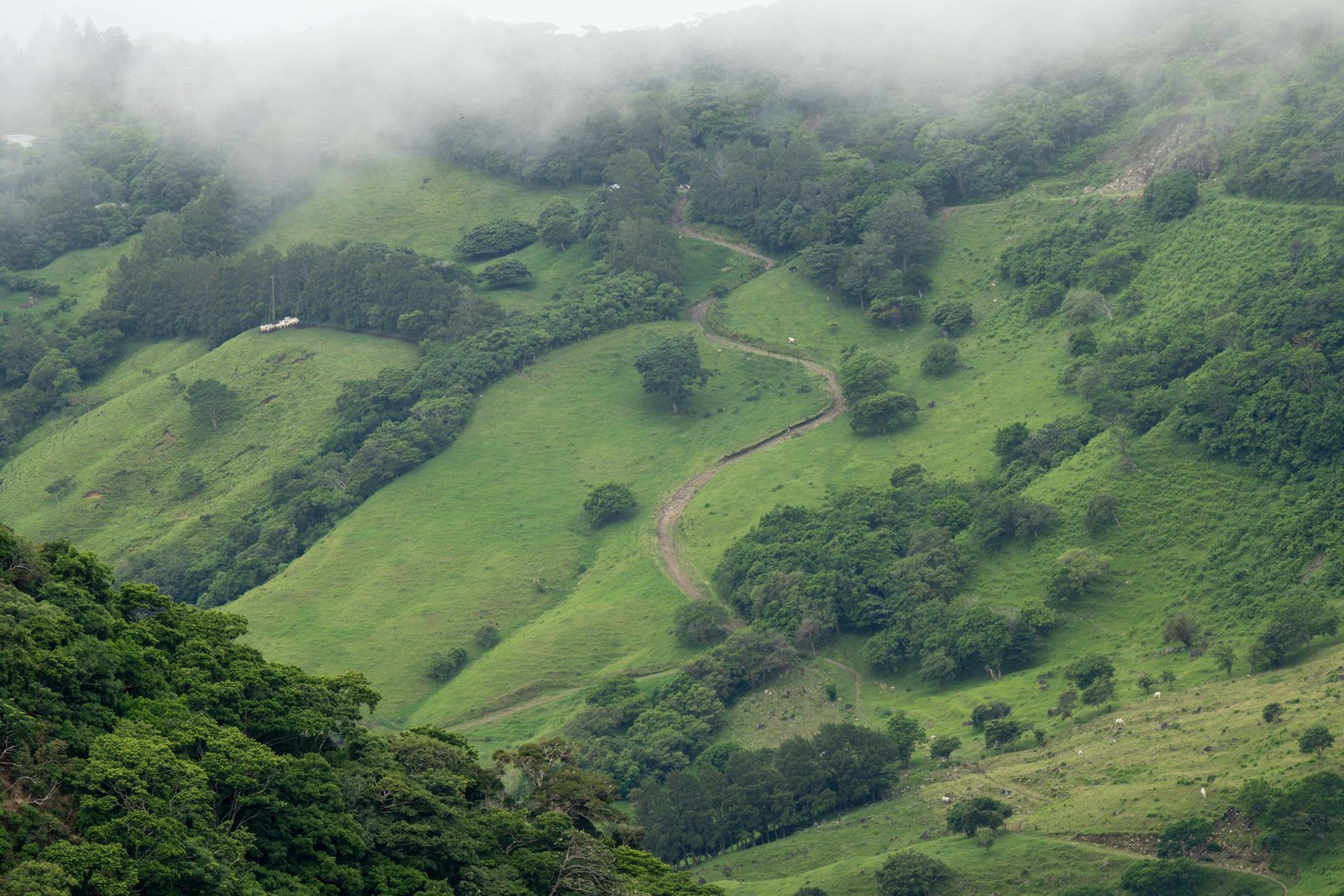 A photo from glenkphoto.com gallery