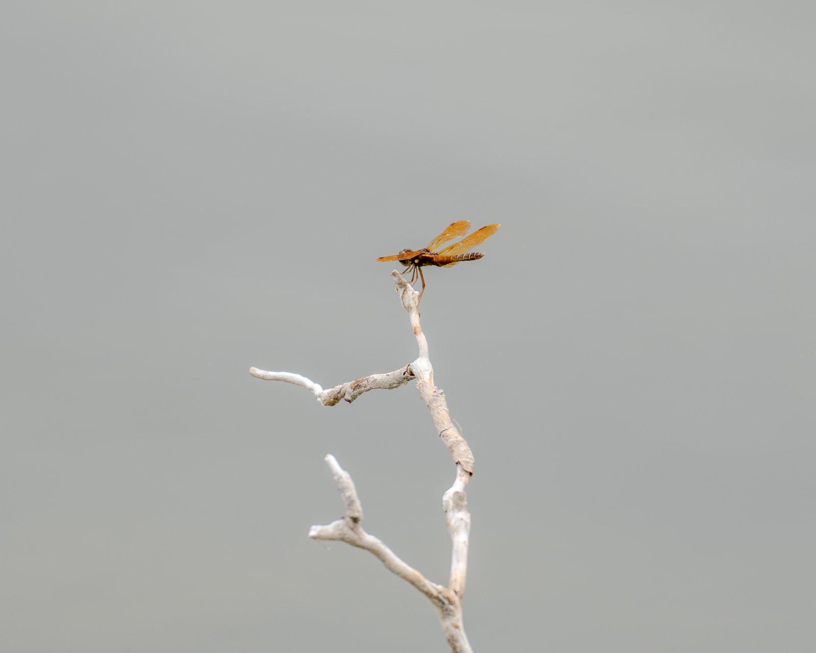 A photo from glenkphoto.com gallery