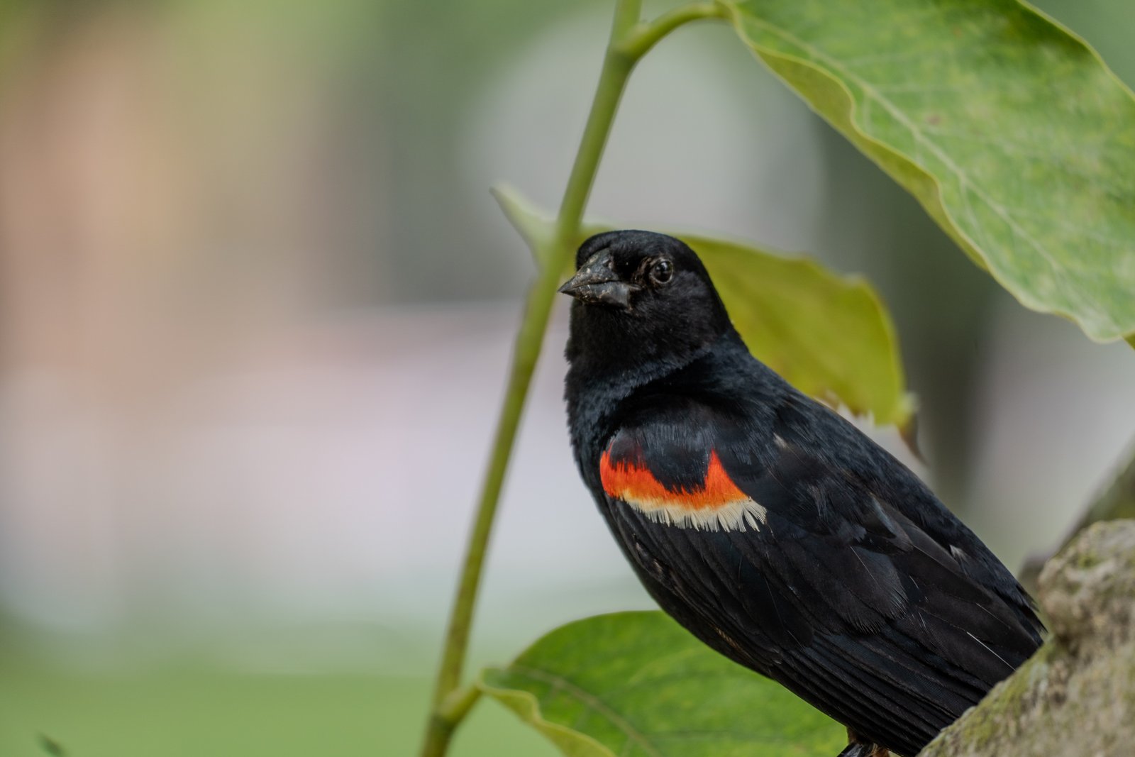 A photo from glenkphoto.com gallery