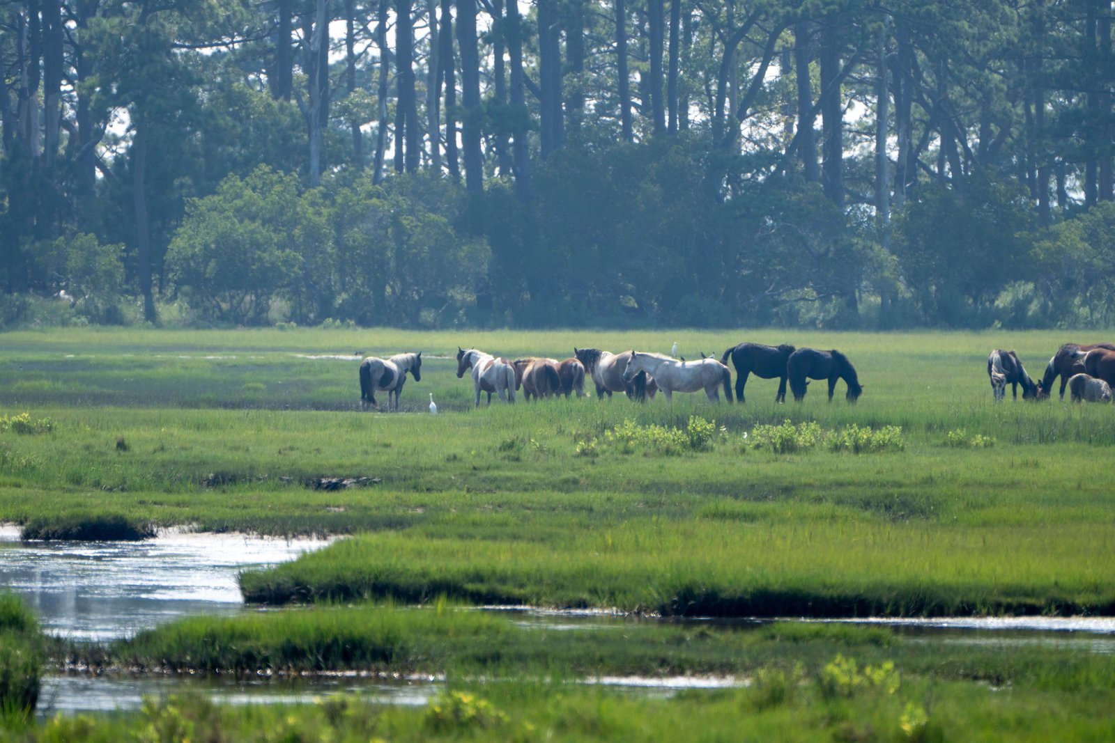 A photo from glenkphoto.com gallery