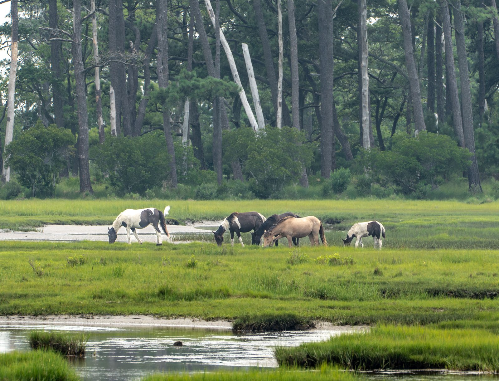 A photo from glenkphoto.com gallery