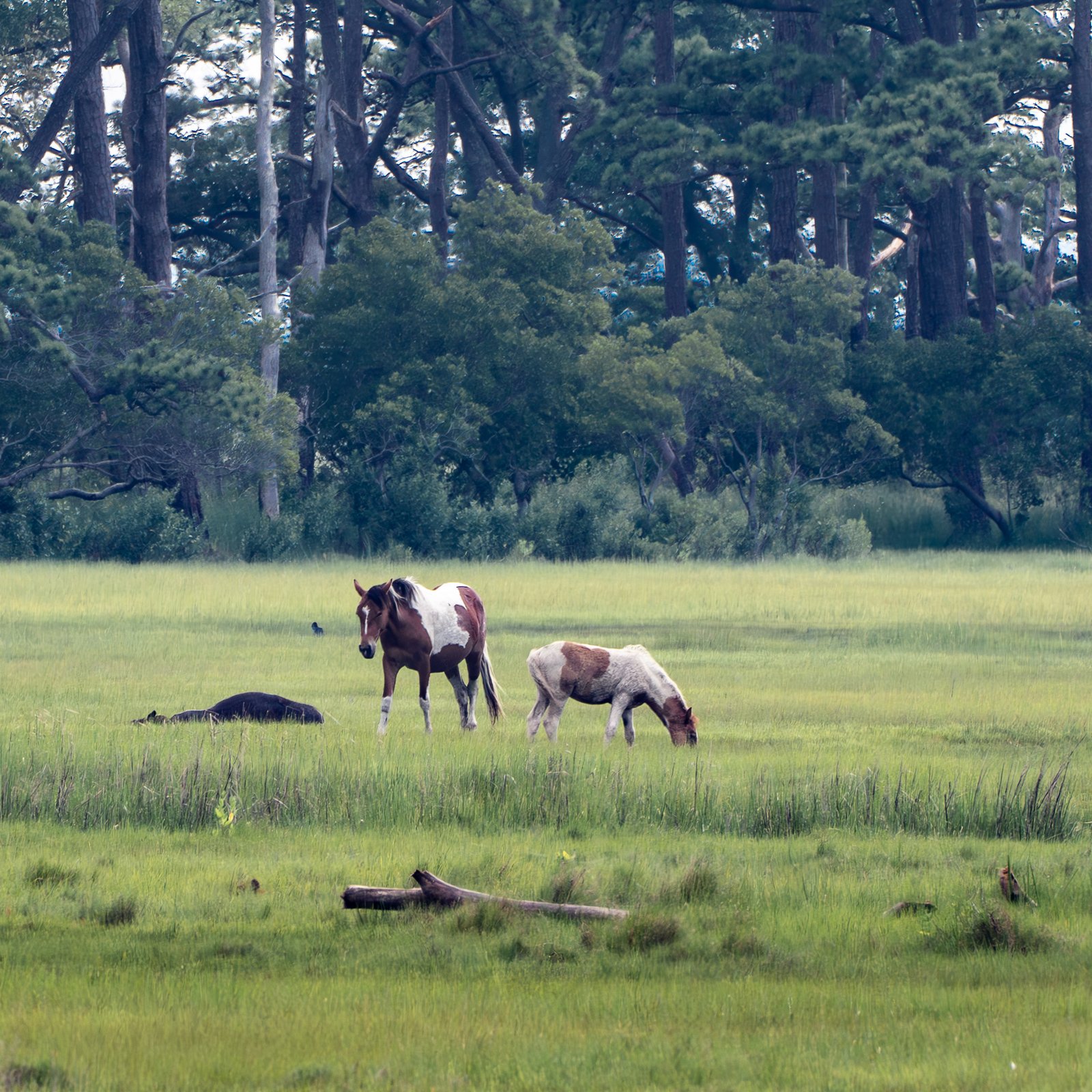 A photo from glenkphoto.com gallery