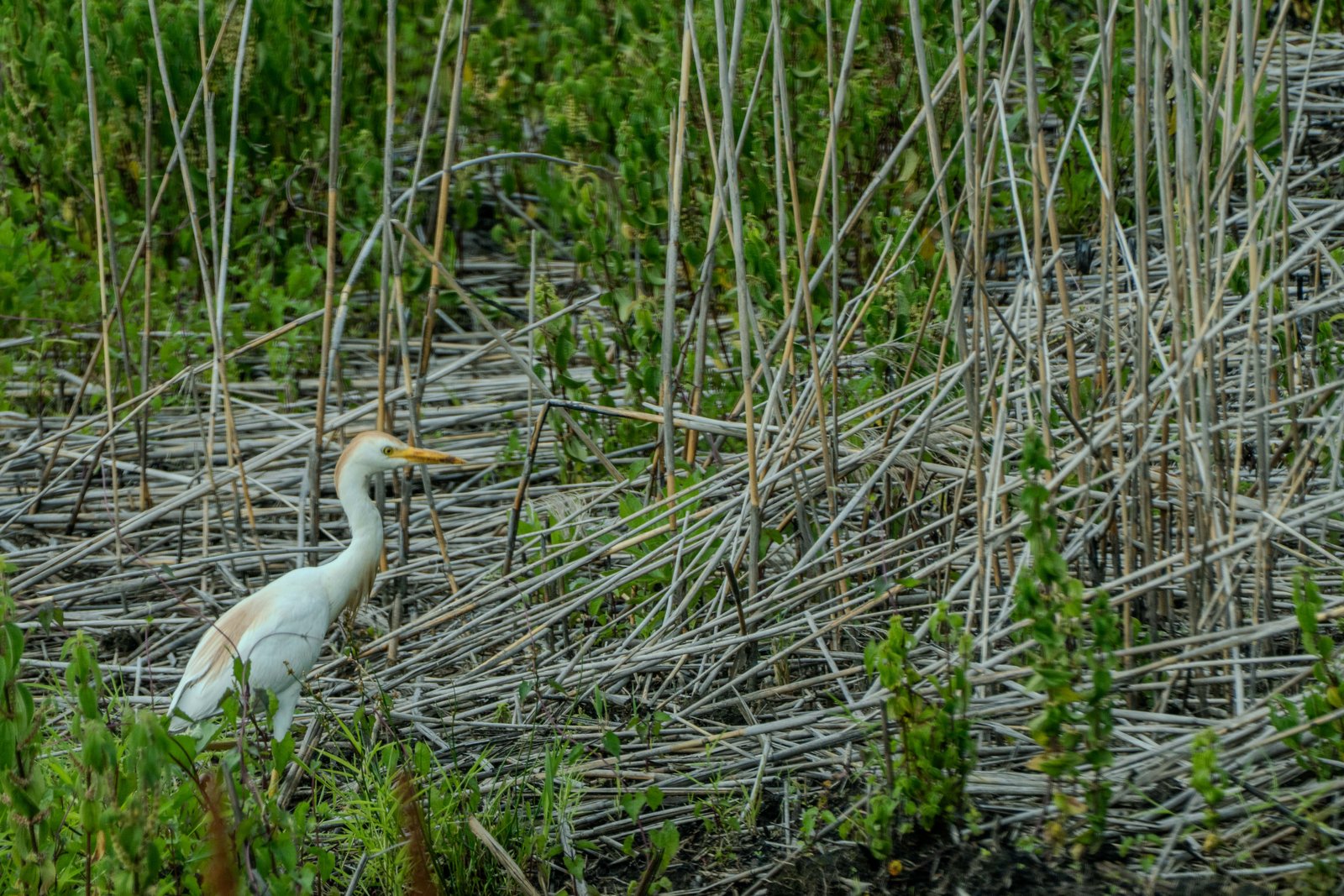 A photo from glenkphoto.com gallery