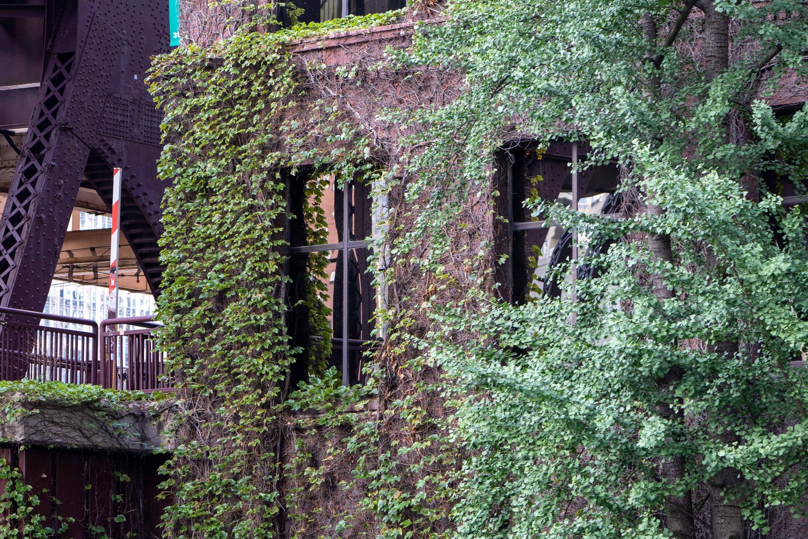 A photo from glenkphoto.com gallery