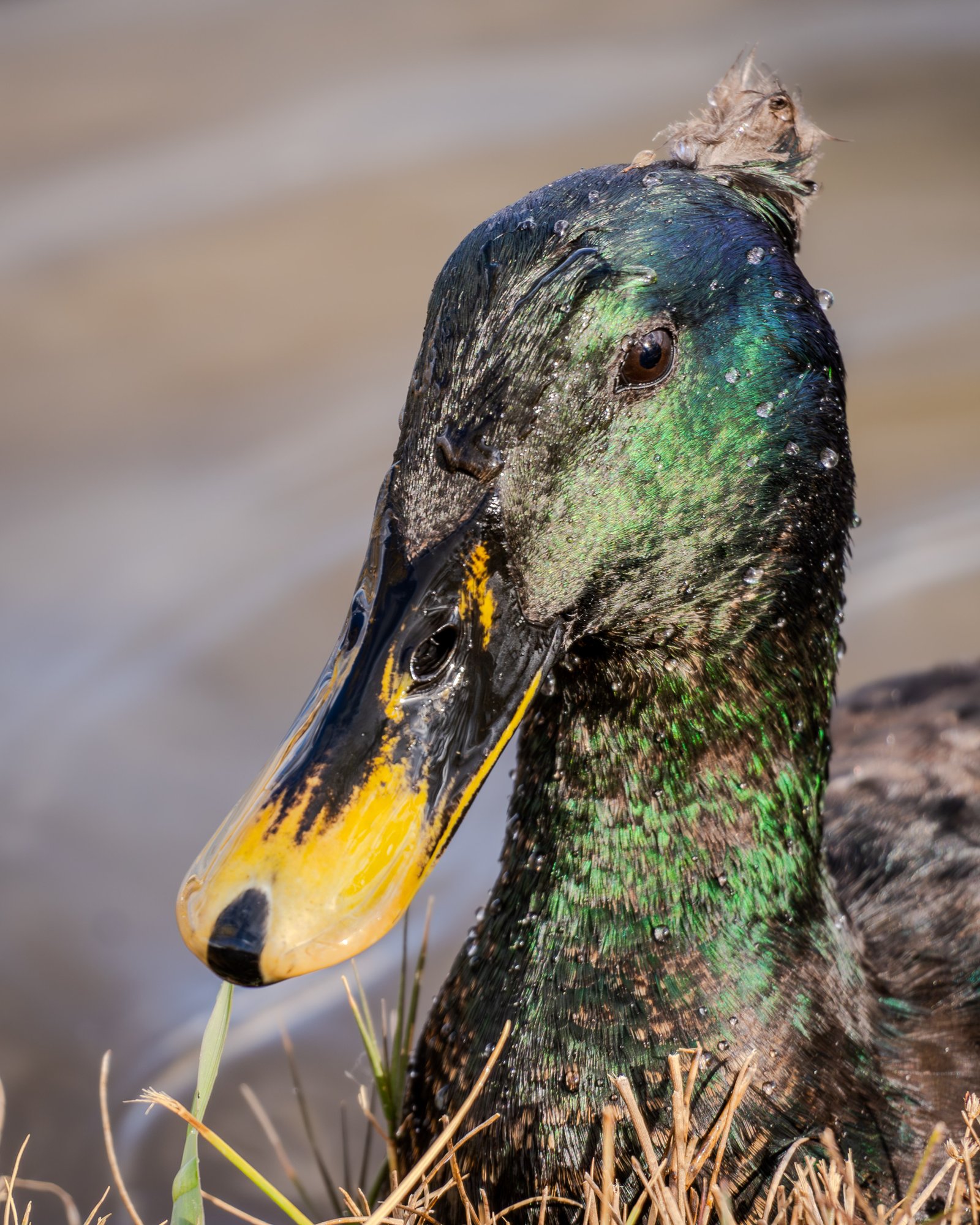 A photo from glenkphoto.com gallery