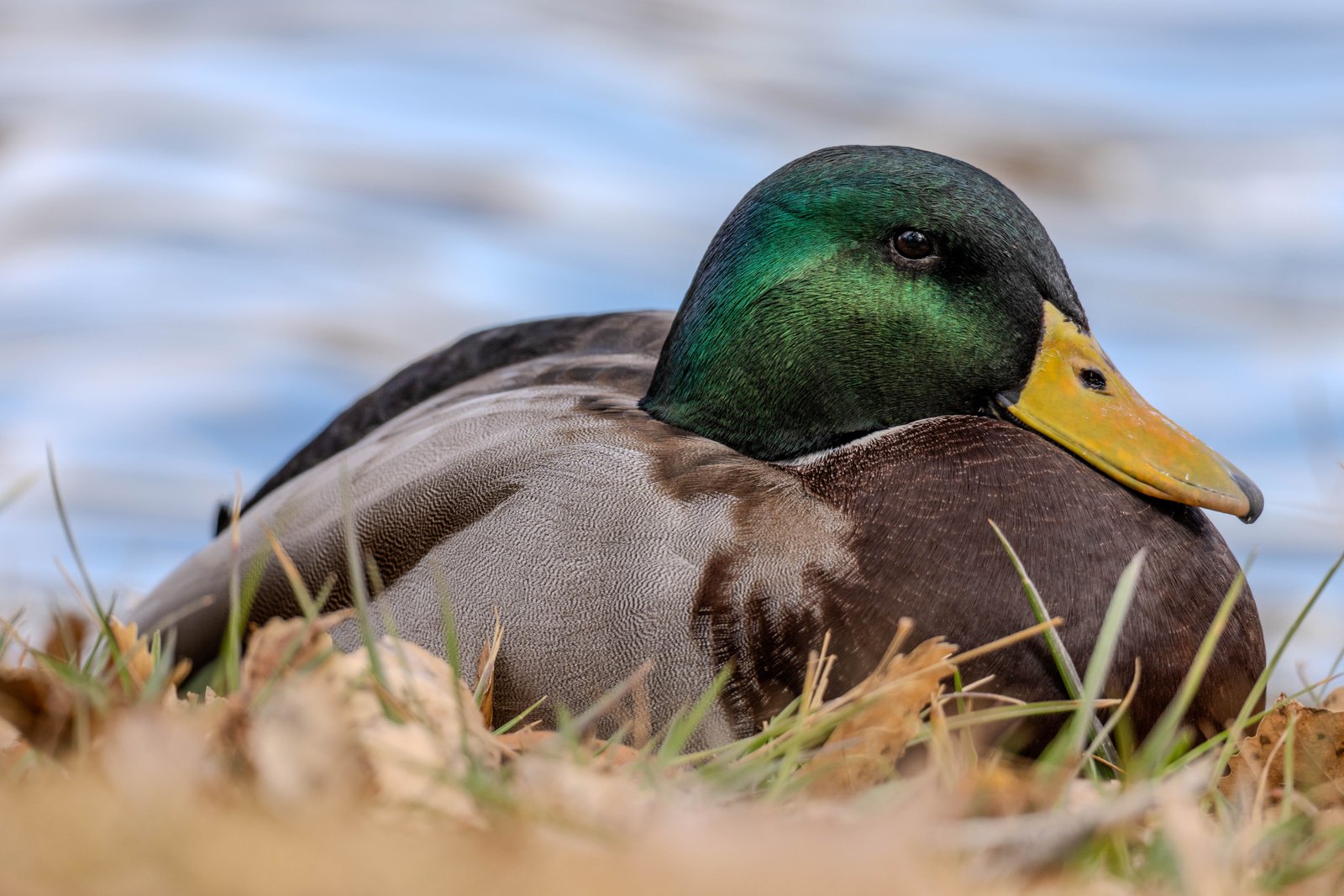 A photo from glenkphoto.com gallery