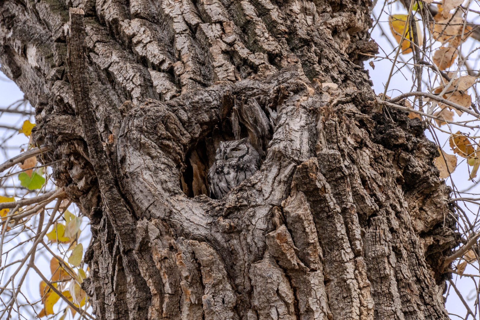 A photo from glenkphoto.com gallery