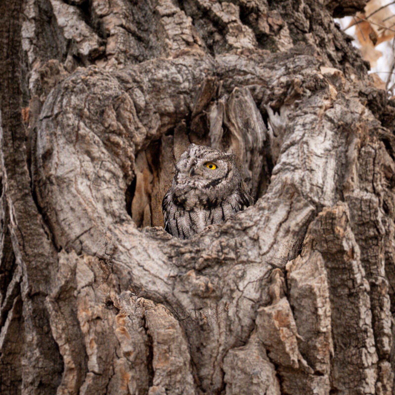 A photo from glenkphoto.com gallery