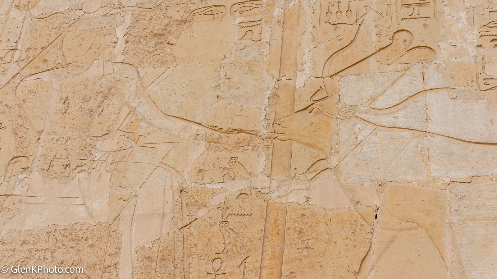 A photo from glenkphoto.com gallery