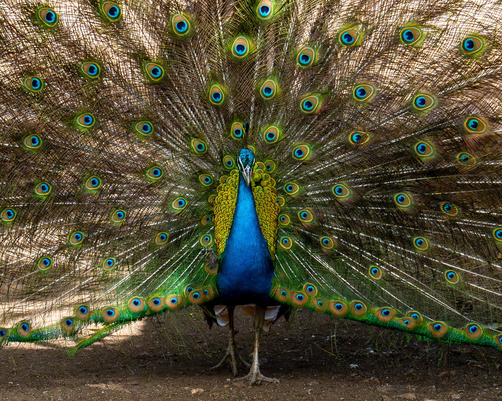 A photo from glenkphoto.com gallery