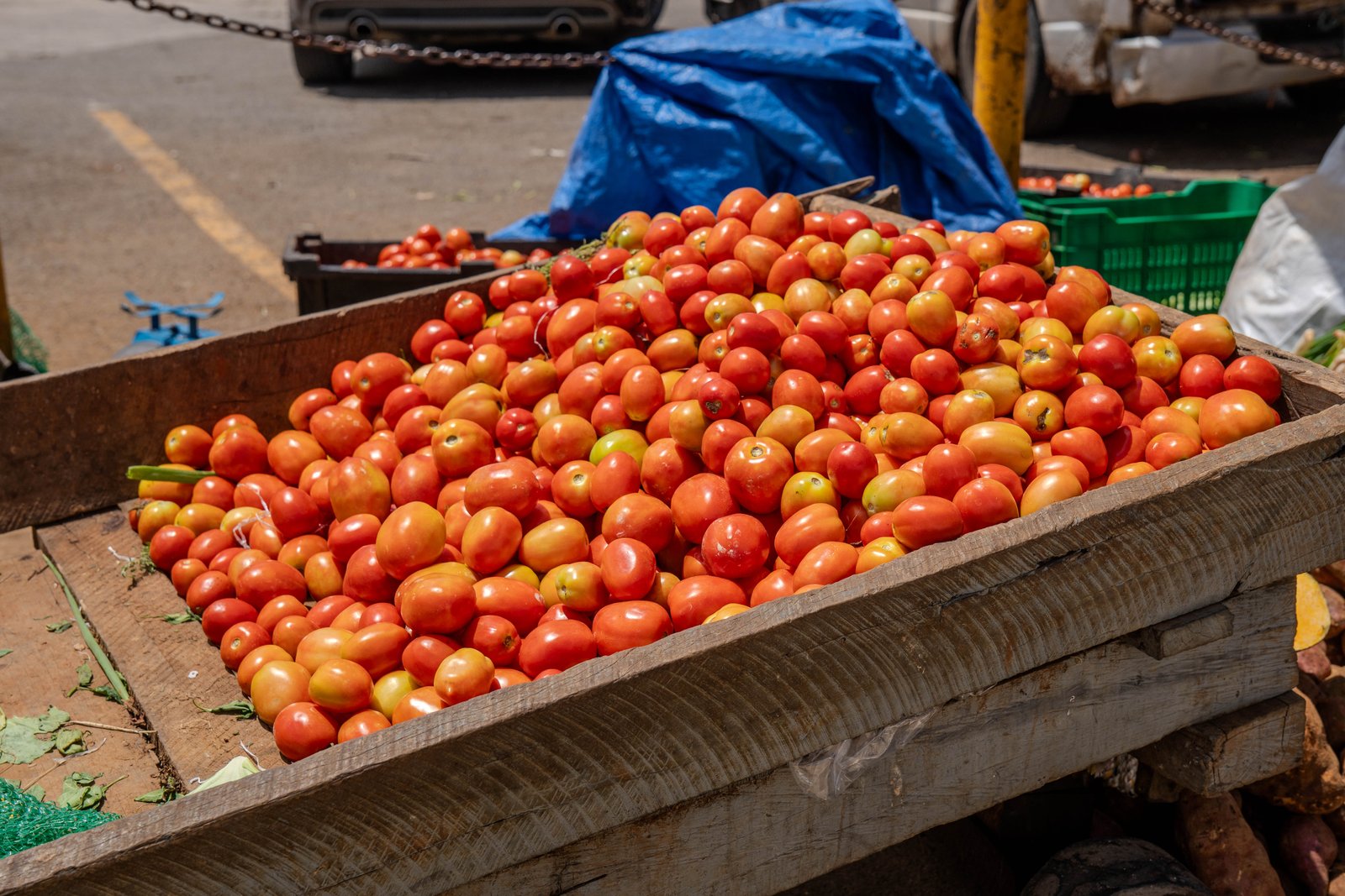 A photo from glenkphoto.com gallery