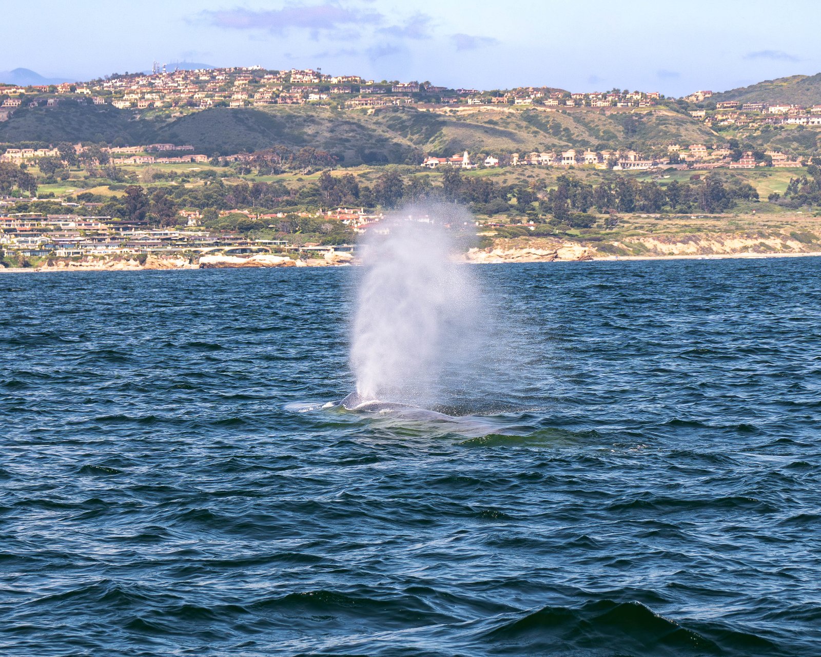 A photo from glenkphoto.com gallery