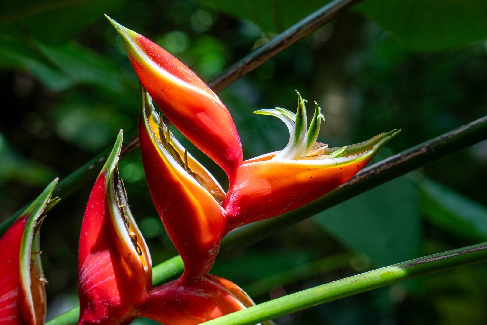 A photo from glenkphoto.com gallery