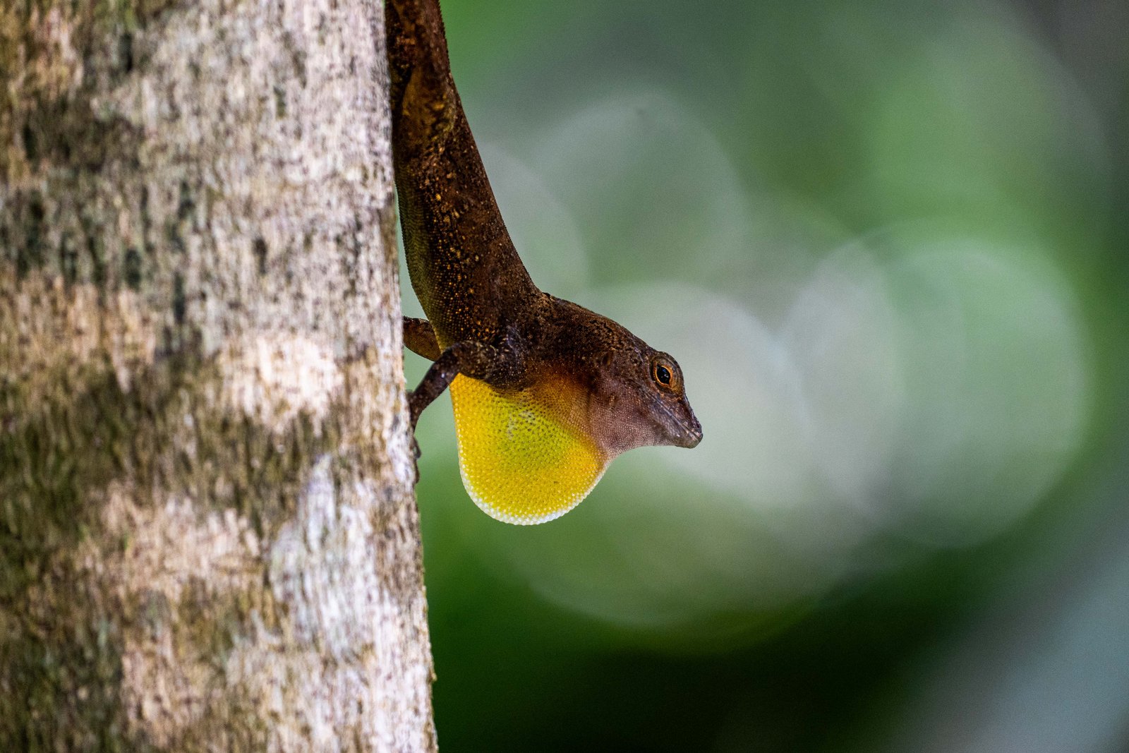 A photo from glenkphoto.com gallery