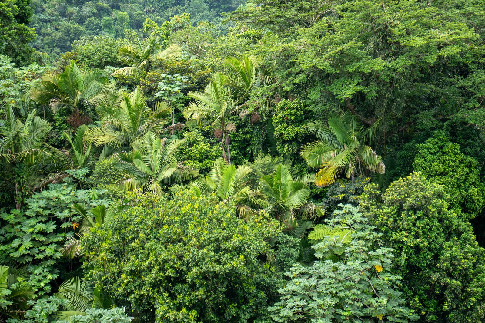 A photo from glenkphoto.com gallery