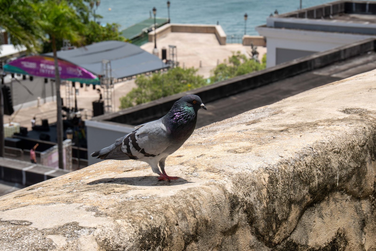 A photo from glenkphoto.com gallery