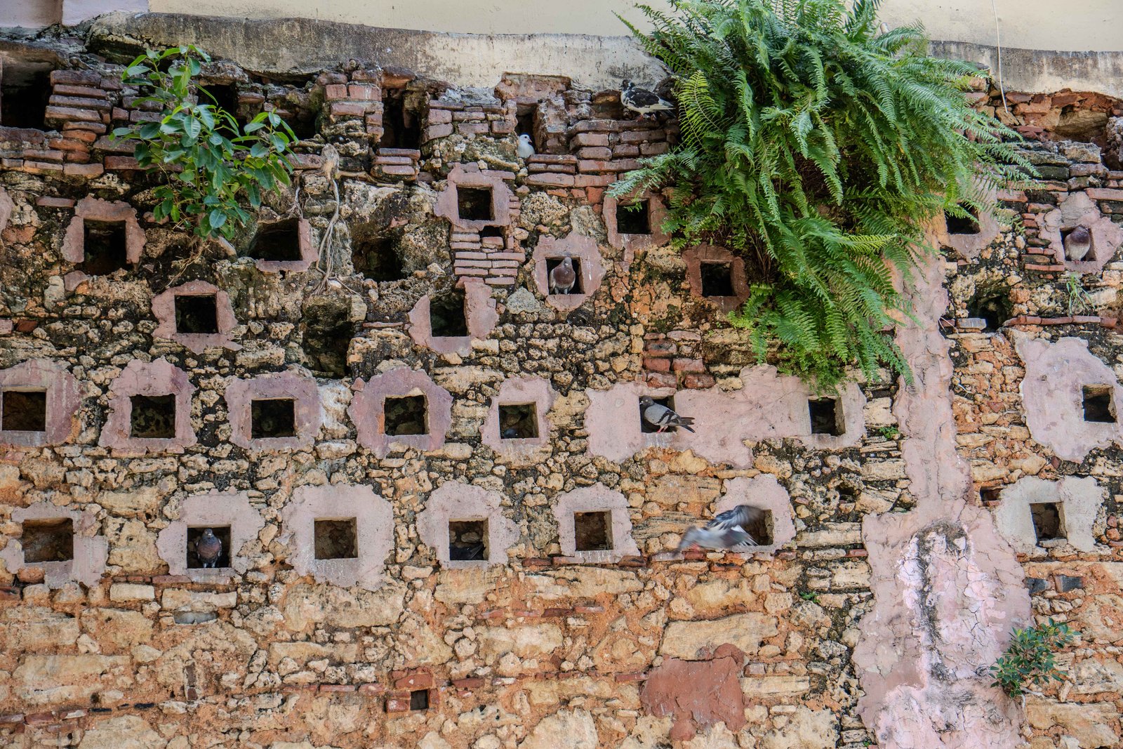 A photo from glenkphoto.com gallery