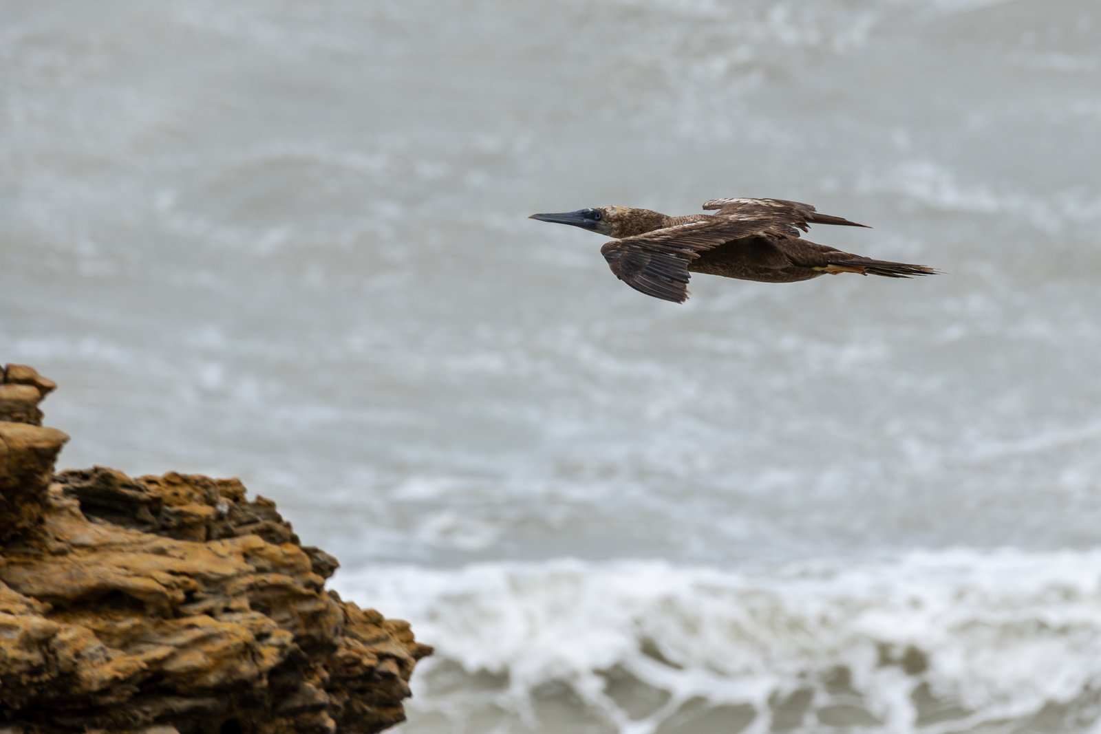 A photo from glenkphoto.com gallery