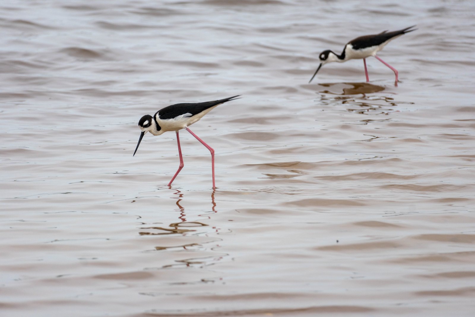 A photo from glenkphoto.com gallery