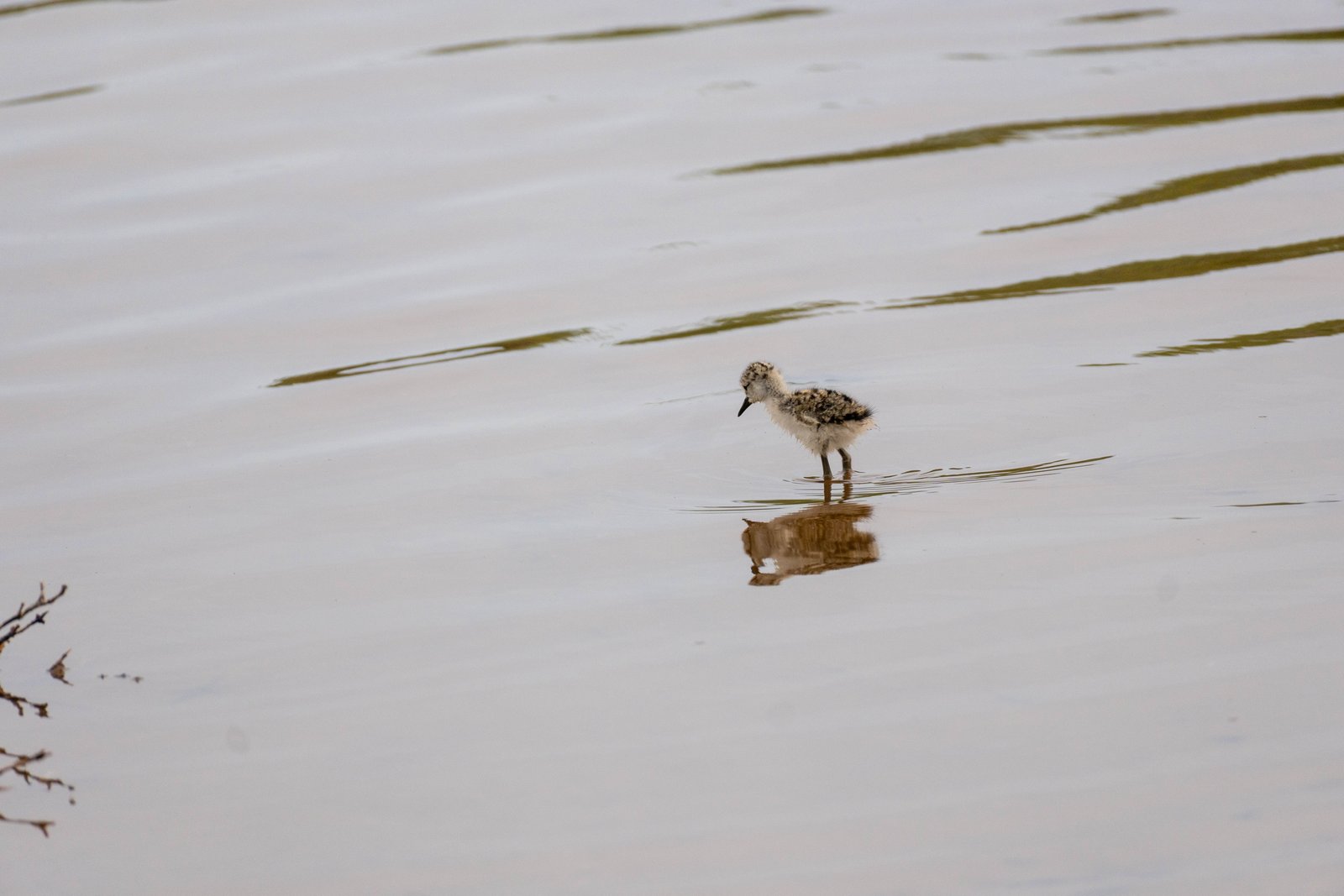 A photo from glenkphoto.com gallery