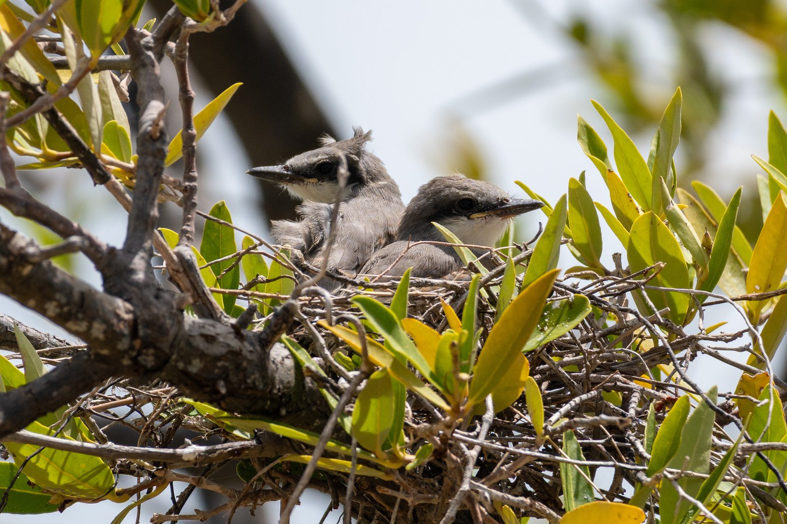 A photo from glenkphoto.com gallery