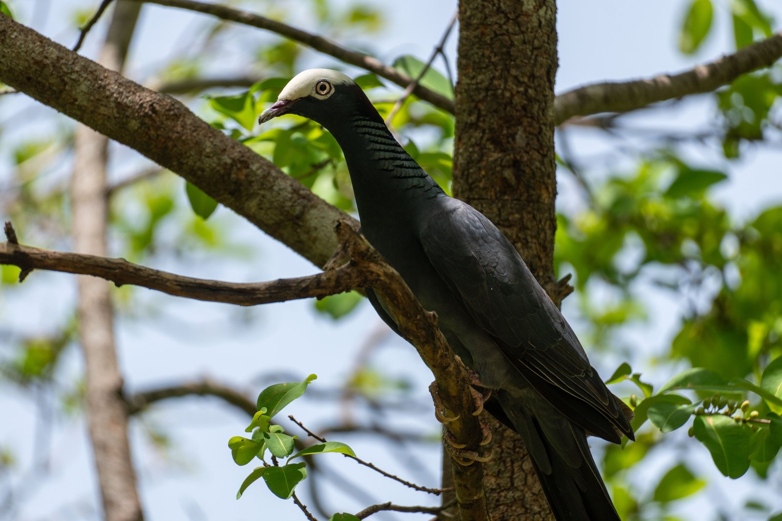 A photo from glenkphoto.com gallery