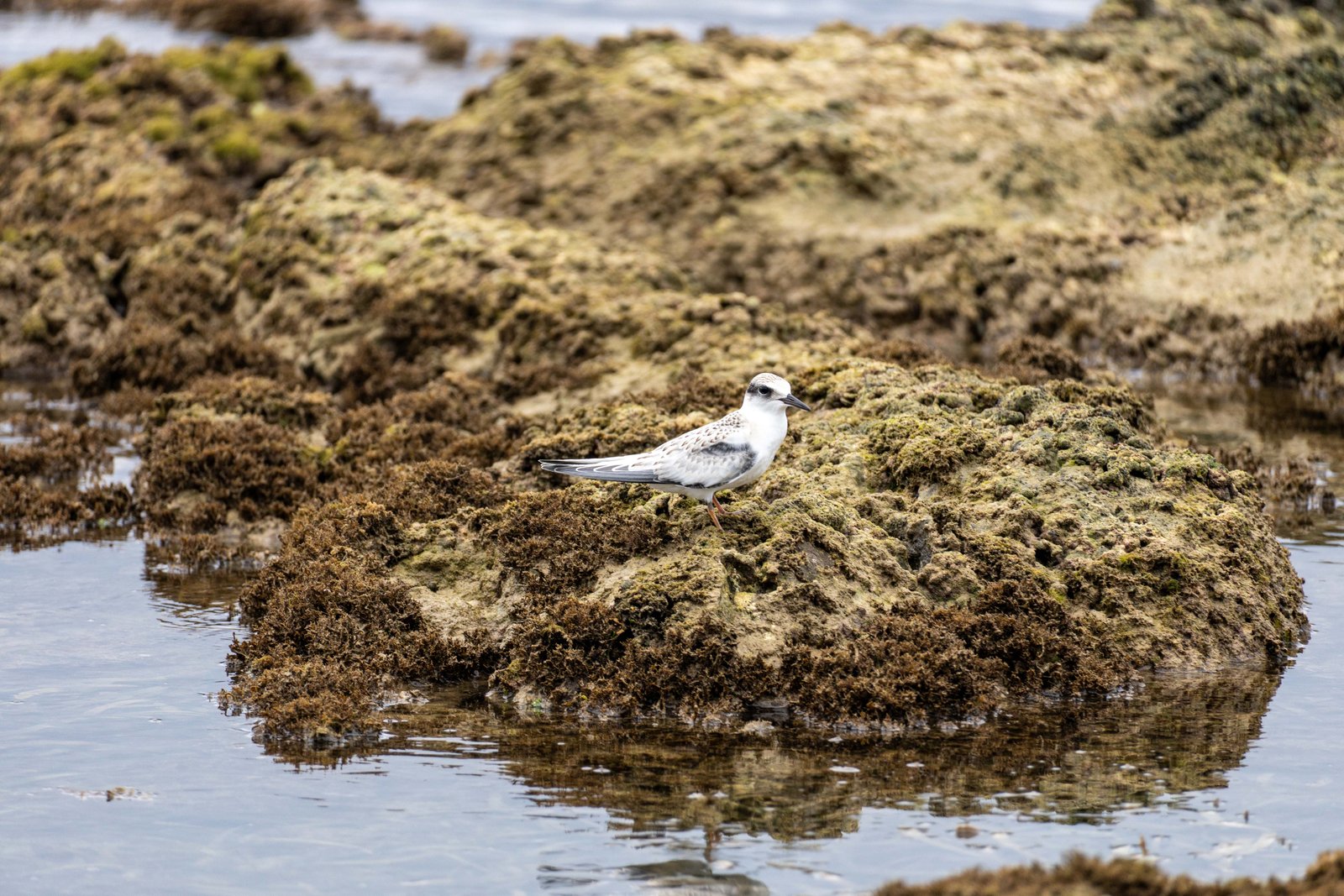 A photo from glenkphoto.com gallery