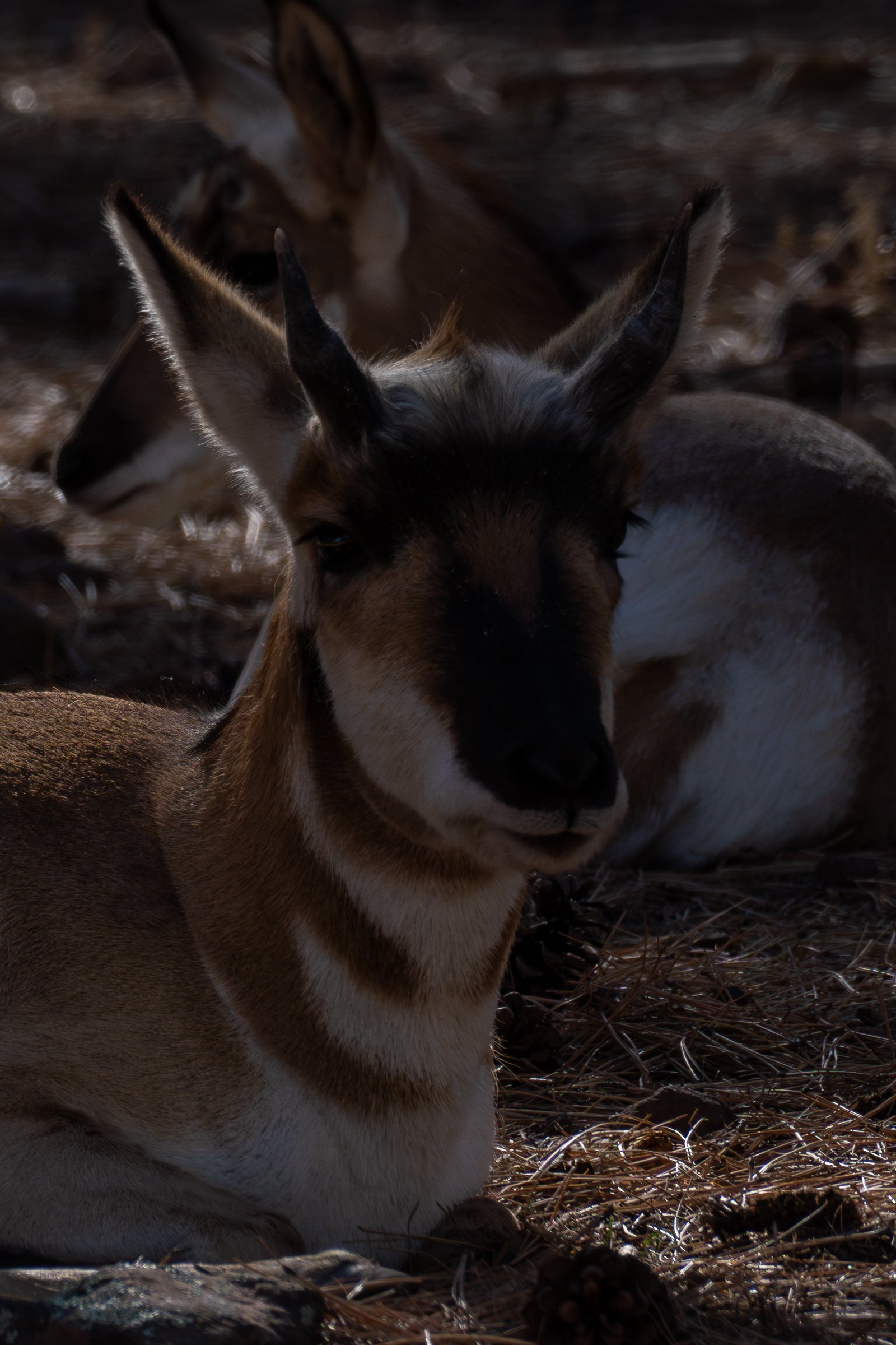 A photo from glenkphoto.com gallery