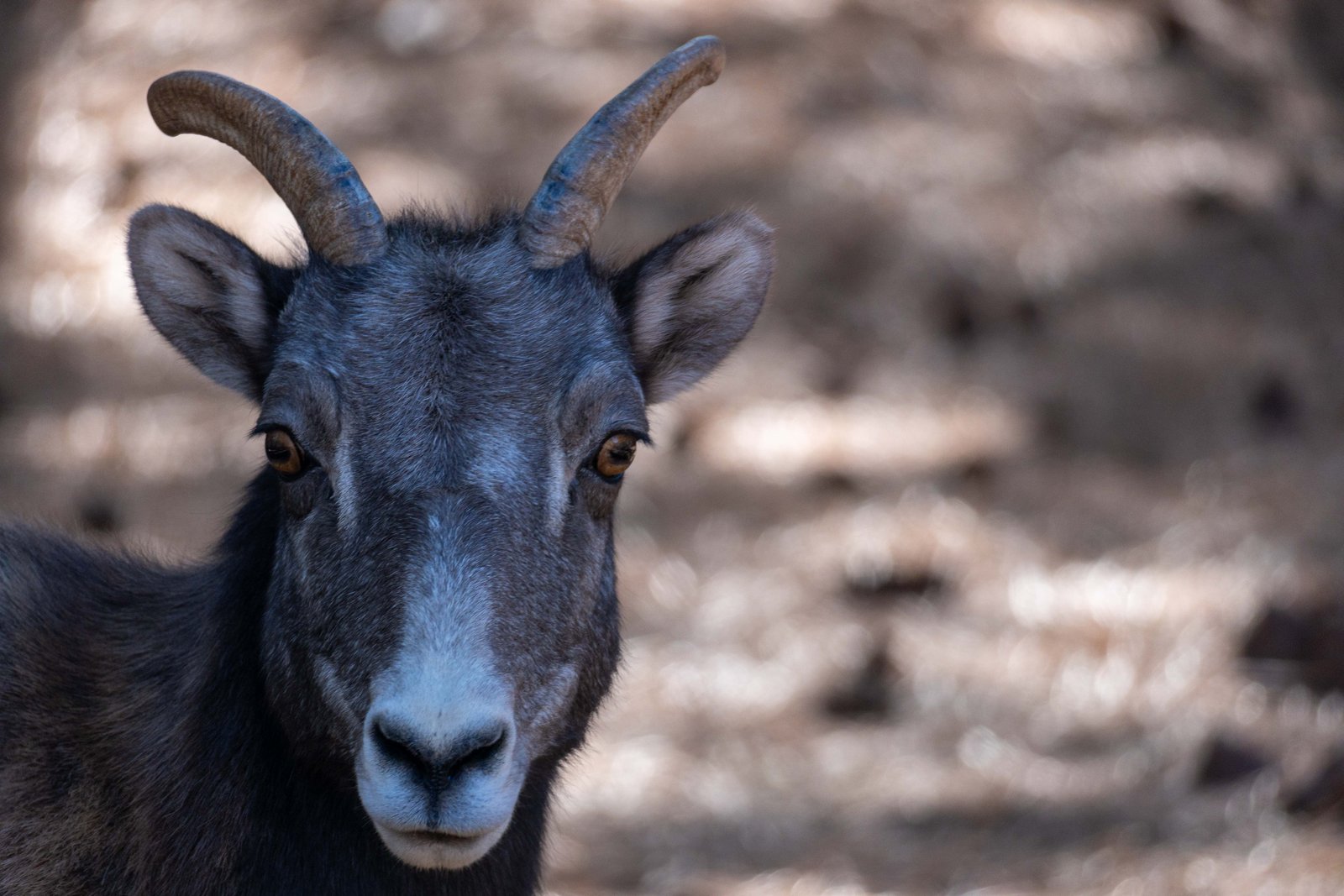 A photo from glenkphoto.com gallery