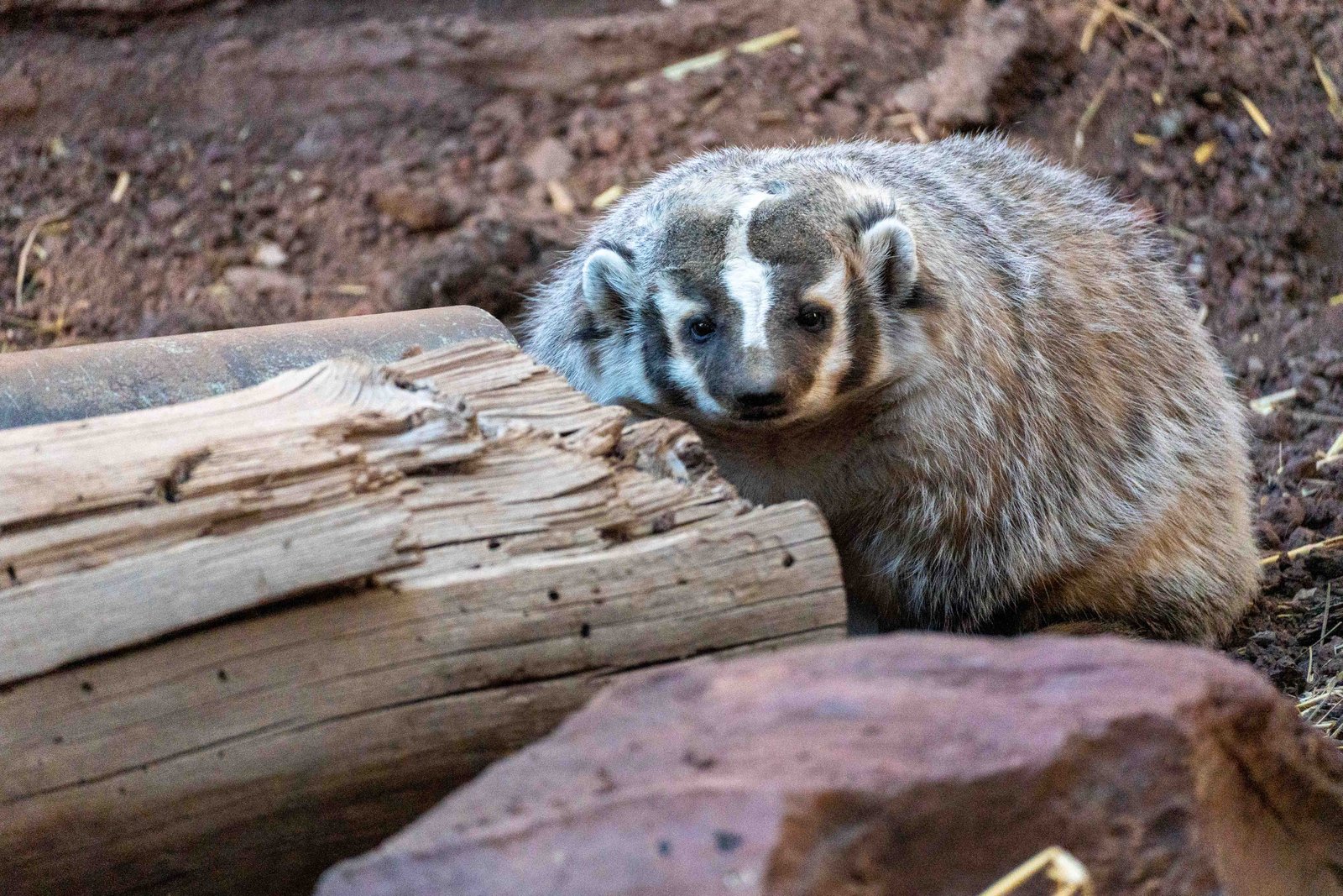 A photo from glenkphoto.com gallery