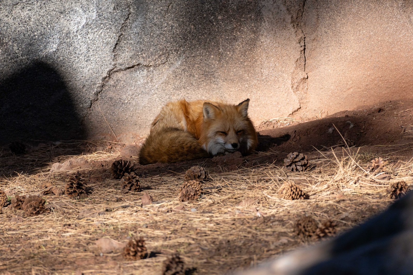 A photo from glenkphoto.com gallery