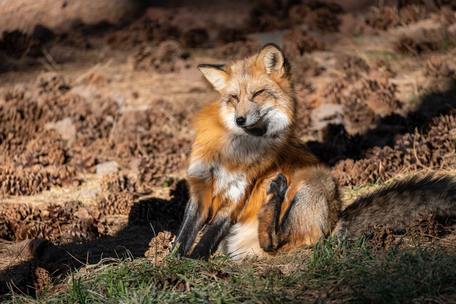 A photo from glenkphoto.com gallery